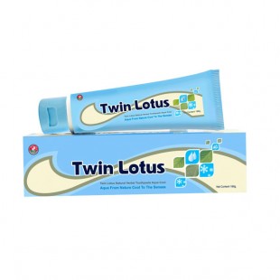 Twin Lotus Herbal Aqua Cool 40г Зубная паста