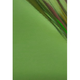 Dona Jerdona фольга 1,5 м глянцевая светло зелёная